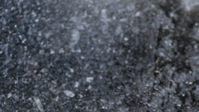 El parásito lo contrajo nadando en un lago en África.