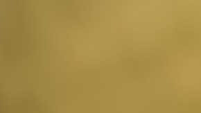 Una sentencia justa.