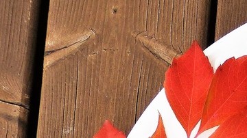 sopa calabaza-pxhere