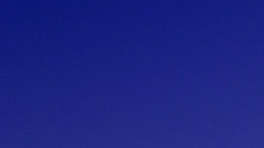 Muchos no quieren asistir a la boda por el horario.