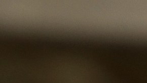 El hombre terminó siendo arrestado tras su fechoría.