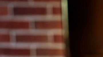 Te darán 12 días para ver las películas y dar tus reseñas sobre ellas.