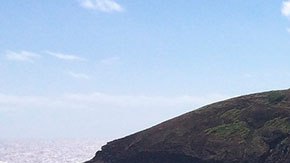 Para aplicar debes rellenar esta solicitud y explicar en 200 palabras o menos por qué eres el mejor candidato ideal.