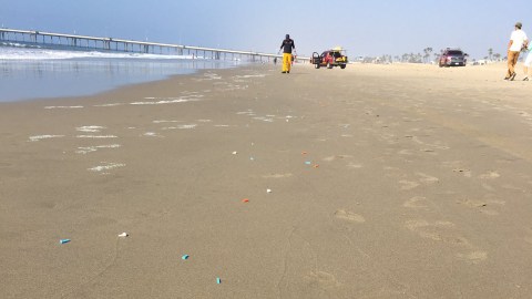 Los salvavidas limpiaron la playa en profundidad.