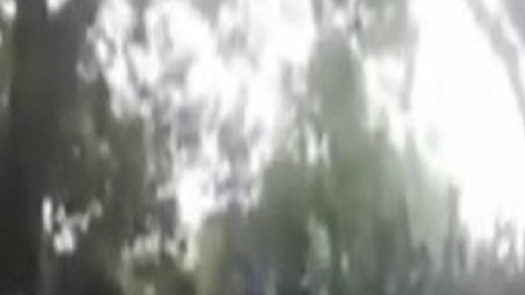 Miembros del CJNG