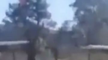 VIDEO: Así es la flotilla aérea del Mayo Zambada con las que el Cártel de Sinaloa transporta droga