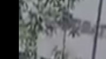 VIDEO: Narcos del Cártel del Noreste roban trocas a plena luz del día a unas millas de frontera