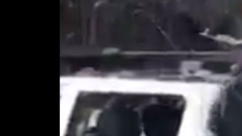 VIDEO: Sicarios del Mayo Zambada y los Chapitos muestran su poderío