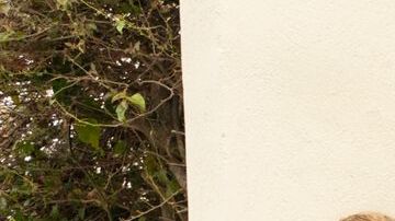 Miembros de ROC-LA apoyan a los empleados que trabajaron para la compañía Road 39 de Glenn Schneider. (Suministrada)