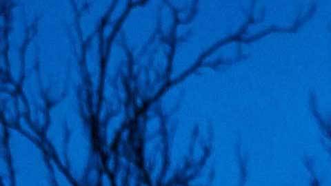 La estatua de Zlatan fue vandalizada por el descontento de los hinchas.