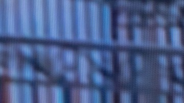 Solo uno de los expertos alega que no está claro que Trump incurriera en los delitos.