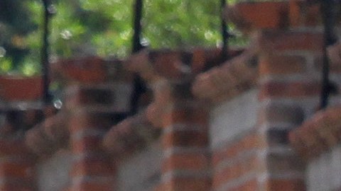 Los restos de al menos 50 personas fueron hallados en Tlajomulco de Zúñiga.
