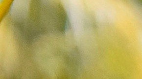 Masacre en cárcel de Honduras