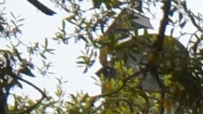 La entrada principal de la base aeronaval en Pensacola.