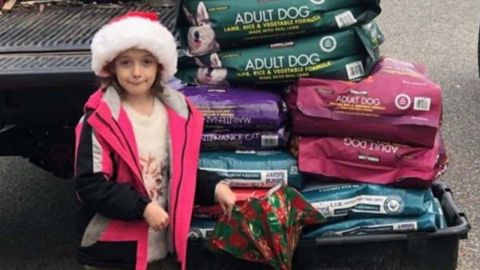 En vez de juguetes pidió que Papá Noel le trajera dinero para poder comprar comida para animales.