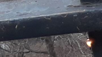 Peligrosa línea entre inmadurez y crimen en el caso de Tessa Majors