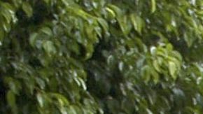 Ingrid Coronado y Fernando del Solar.