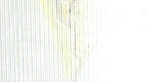 Ana Brenda Contreras