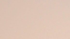 Jorge Ramos y Chiquinquirá Delgado