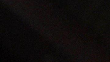 La chef mexicana Rocío Camacho muestra cómo se prepara un pavo "horneado al pastor". EFE/Iván Mejía