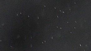 Raúl Jiménez salió al minuto 81.