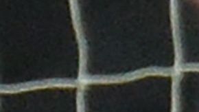 El Lobo Mexicano pasa por el mejor momento de su carrera.