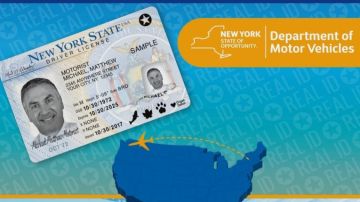 Licencias Nueva York