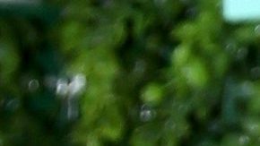 Elizabeth Gutiérrez y William Levy.