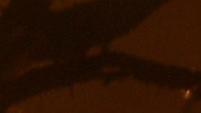 Actualmente hay 70 incendios activos.