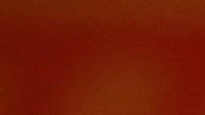 Elena Poniatowska en la presentación de su último libro.