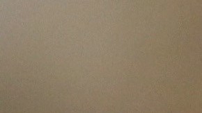 Una delegación del Congreso de EEUU fue a suplir la ausencia de Trump en la COP25.