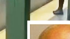 Shaw y la acción por la que fue detenido