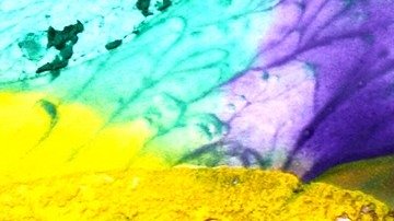 Dicha elección es para transmitir un mensaje de paz y tranquilidad.