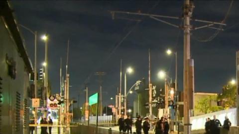 El hombre que cayó a las vías trató de subir de regreso a la plataforma, pero fue arrollado antes de lograrlo.