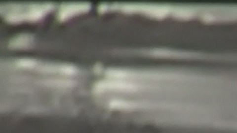 El hombre aún estaba vivo cuando llegó la policía, por lo que sus familiares creen que si el conductor se hubiera quedado con él, quizás, hubiera salvado su vida.
