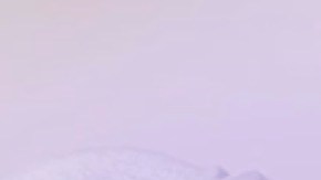 Francisco Gómez fue acusado de "conducta inapropiada" por tocarse sus partes íntimas frente a dos jóvenes.