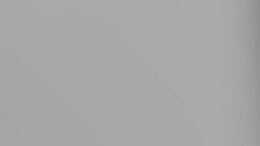 Varios testigos vieron como Louis Sepúlveda trataba de estrangular a un perro en la emblemática avenida de Ocean Drive.