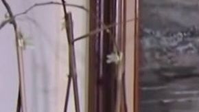 Alberto Zamacona tenía 47 años