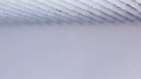 Crédito: lyulka /Canva