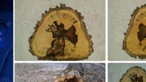 El tejano dice que se trata de un “milagro navideño”. ¿Usted, qué opina?