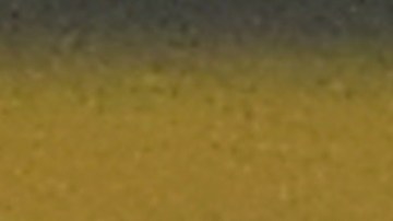 Ansu Fati se convirtió en el jugador más joven en marcar en la competencia europea.