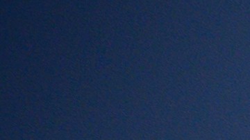 Juguetes "Baby Shark"