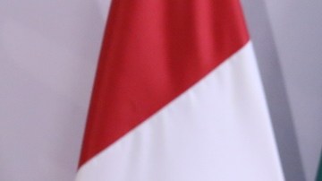 Banderas TMEC_962945