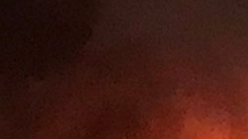 Varios equipos de emergencia acudieron a la exclusiva marina de Watson Island.