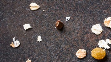 Crédito: Nadia Borovenko/Canvas