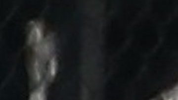 Shakira y Gerard Piqué discuten antes de salir y él lo cuenta todo.