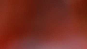 La novia del mariscal lamentó el mal momento que vivió en el Gillette Stadium.