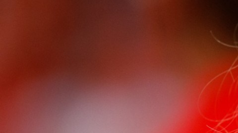La novia del mariscal lamentó el mal momento que vivió en el Gillette Stadium.