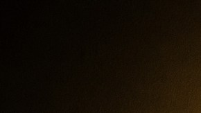 Hay baja oferta de árboles de Navidad esta temporada.