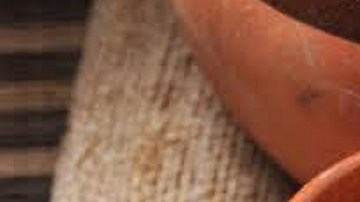 cafe de olla-Turismo Veracruz